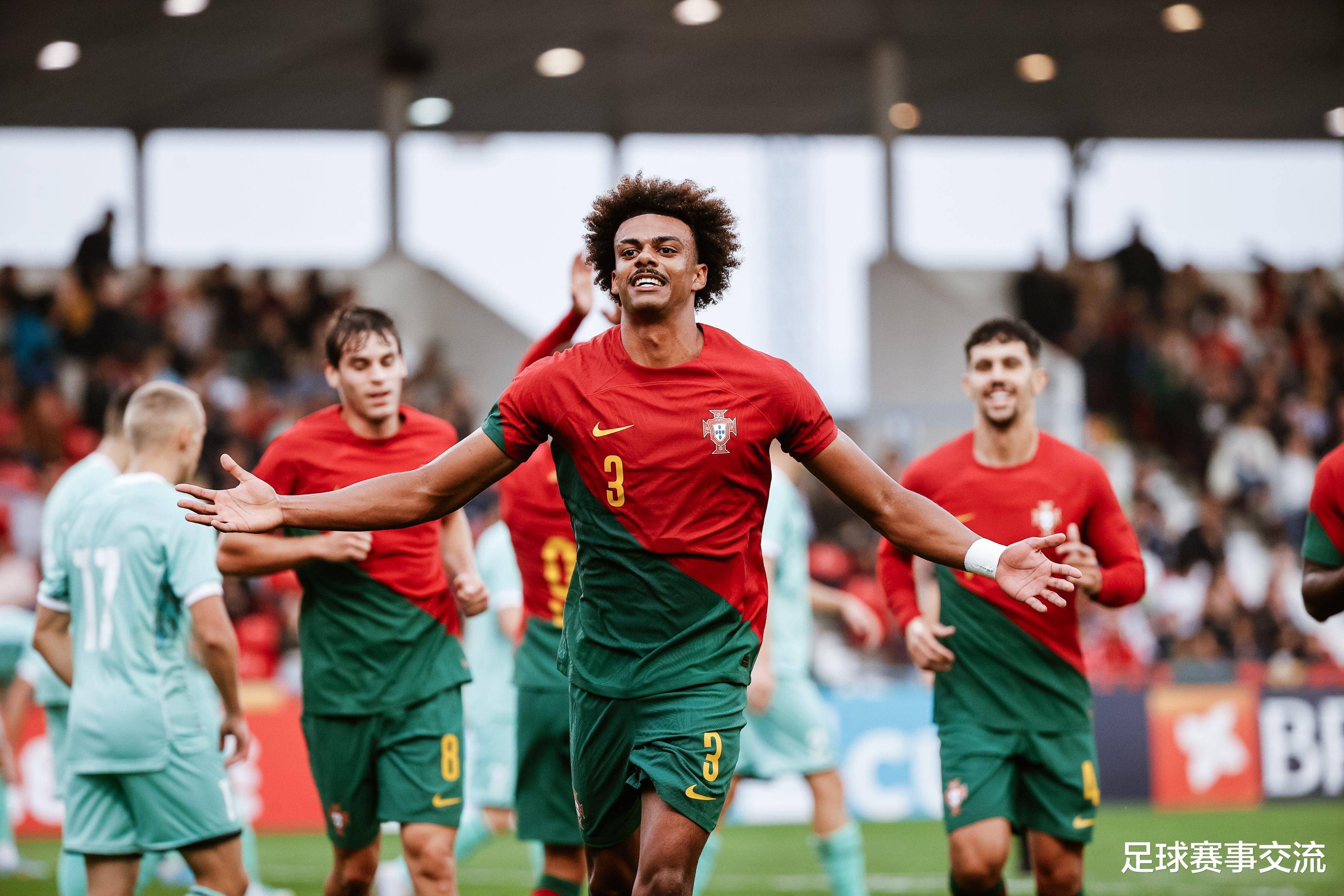 罗马尼亚一落千丈，提前告别欧洲预选赛小组赛的简单介绍